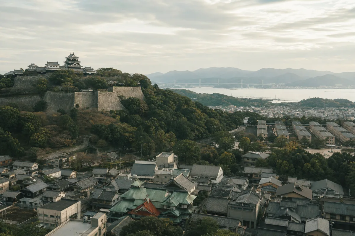 【2026最新】愛媛県の空室対策！松山学生街×今治タオル産業×新居浜住友城下町